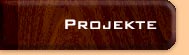 Projekte